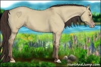 Horse Color:Classic Champagne Dun 