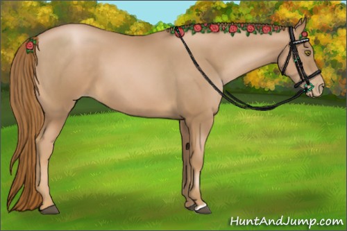 Horse Color:Chestnut Pearl 