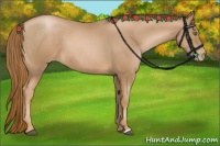 Horse Color:Chestnut Pearl 