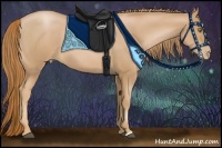 Horse Color:Chestnut Pearl 