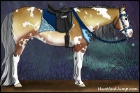 Horse Color:Painted White Spotted Bay Onyx Splash