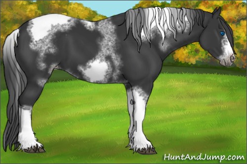Horse Color:White Spotted Black Chinchilla Mushroom Splash Tobiano Frame Varnish