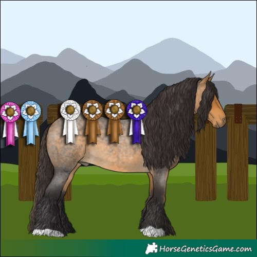Horse Color:Buckskin Roan