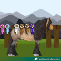 Horse Color:Buckskin Roan 
