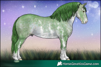 Horse Color:Watercolor Bay Sabino 