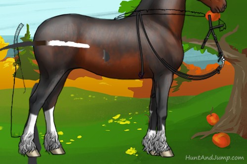 Horse Color:Brown 