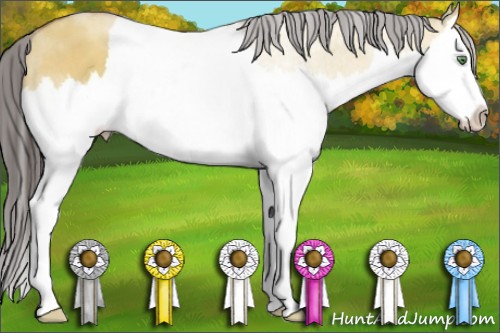 Horse Color:Sable Champagne Roan Dun Splash 