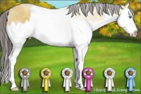 Horse Color:Sable Champagne Roan Dun Splash 