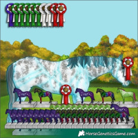 Horse Color:Thunderstruck Grullo Sabino 