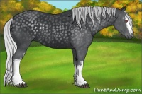 Horse Color:White Spotted Silver Black Chinchilla Rabicano