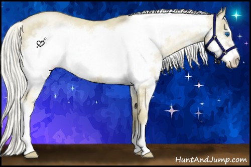 Horse Color:Silver Buckskin Pearl Splash Frame 