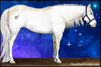 Horse Color:Silver Buckskin Pearl Splash Frame