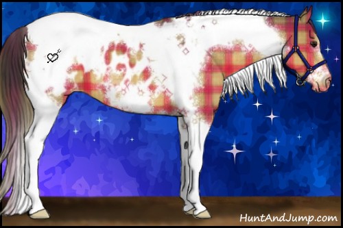 Horse Color:Plaid Buckskin Tobiano Frame Blanket