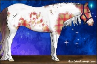 Horse Color:Plaid  Buckskin Tobiano Frame Blanket 