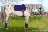 Horse Color:Brown Dun Appaloosa  Brindle