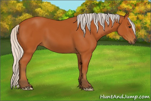 Horse Color:Silver Bay
