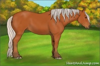 Horse Color:Silver Bay 