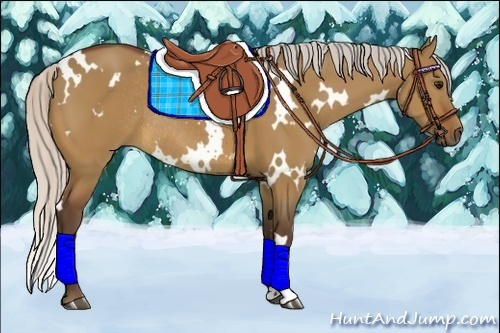 Horse Color:White Spotted Silver Bay Dun Rabicano 