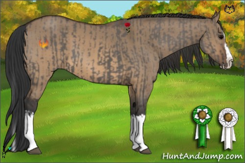 Horse Color:Grullo Sabino Splash and Brown Dun Sabino Splash