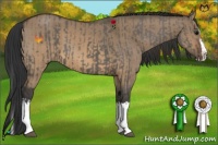 Horse Color:Grullo Sabino Splash  and Brown Dun Sabino Splash 