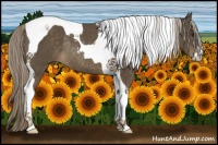 Horse Color:Chocolate Palomino Sabino Tobiano Rabicano 