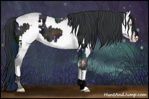 Horse Color:ERROR: UNKNOWN ANOMALY and Sable Champagne Chinchilla Onyx 