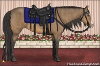 Horse Color:Buckskin Splash Frame  Brindle