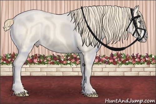 Horse Color:Perlino Splash Frame  Brindle