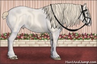 Horse Color:Perlino Splash Frame Brindle