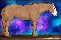 Horse Color:Chestnut Splash Frame  Brindle