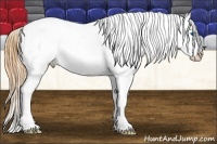 Horse Color:Bay Splash Appaloosa  Brindle