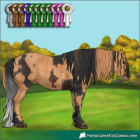 Horse Color:Brown  Brindle