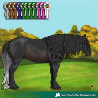Horse Color:Brown  Brindle