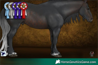 Horse Color:Brown Rabicano Brindle