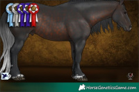 Horse Color:Brown Rabicano  Brindle