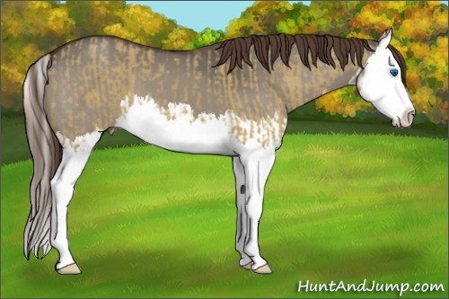 Horse Color:Liver Red Dun Splash  and Liver Red Dun Splash 