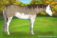 Horse Color:Liver Red Dun Splash  and Liver Red Dun Splash 