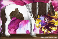 Horse Color:Gray Red Dun Ice Tobiano Varnish 