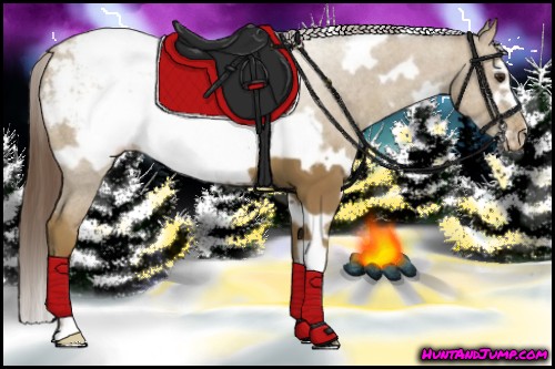 Horse Color:White Spotted Classic Champagne Frame Appaloosa 