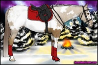 Horse Color:White Spotted Classic Champagne Frame Appaloosa 