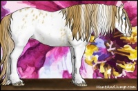 Horse Color:White Spotted Red Dun Splash Appaloosa 