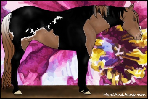 Horse Color:Chestnut Tobiano Snowcap 