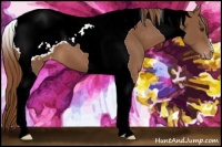 Horse Color:Chestnut Tobiano Snowcap 