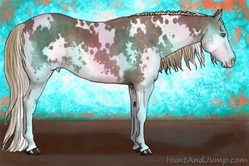 Horse Color:White Spotted Liver Chestnut Splash Brindle