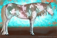 Horse Color:White Spotted Liver Chestnut Splash Brindle