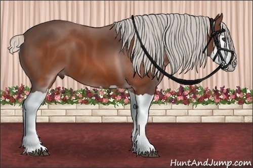 Horse Color:Silver Bay Splash 