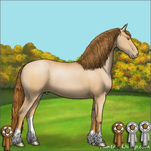 Horse Color:Bay Pearl