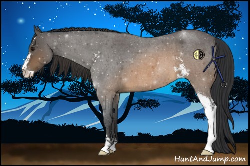 Horse Color:Buckskin Roan Sabino 