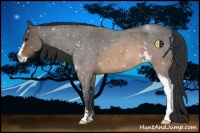 Horse Color:Buckskin Roan Sabino