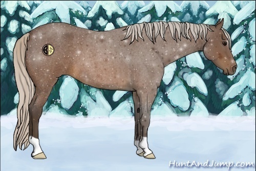 Horse Color:Silver Brown Roan 